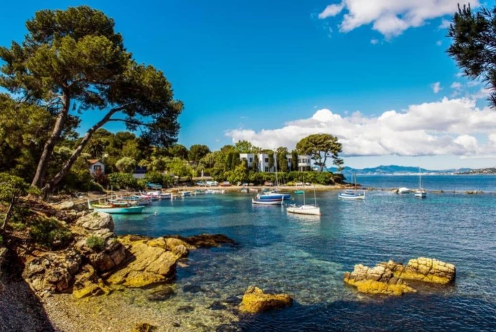 Charmant Studio Renove A Antibes, Plage A 10 Min A Pied מראה חיצוני תמונה